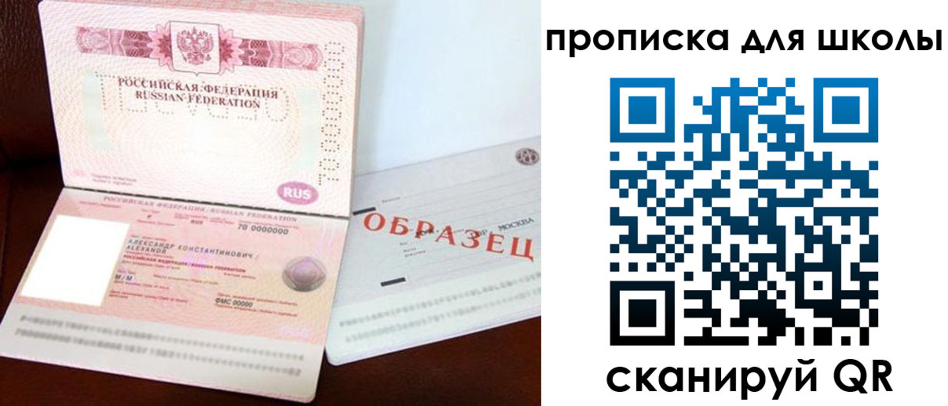 прописка для школы в Орехово-Зуево